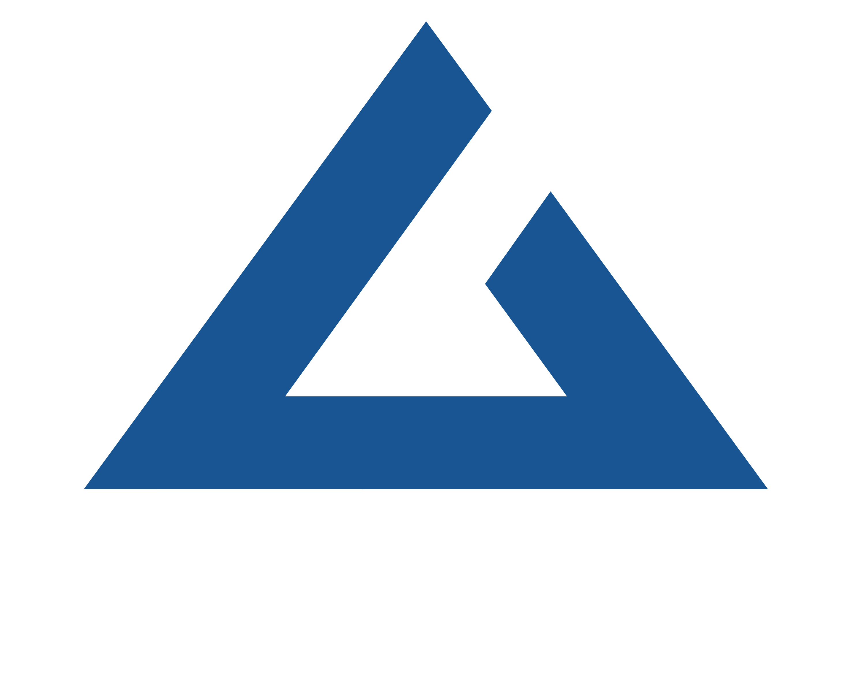 Acmega Logo